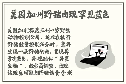 x9x9x9任意槽
